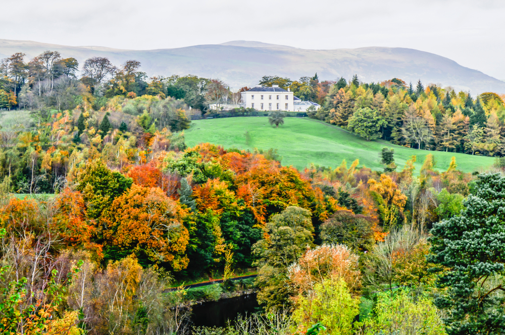 Belfast Park, the surrounding trees and leaves on their way to changing colors.