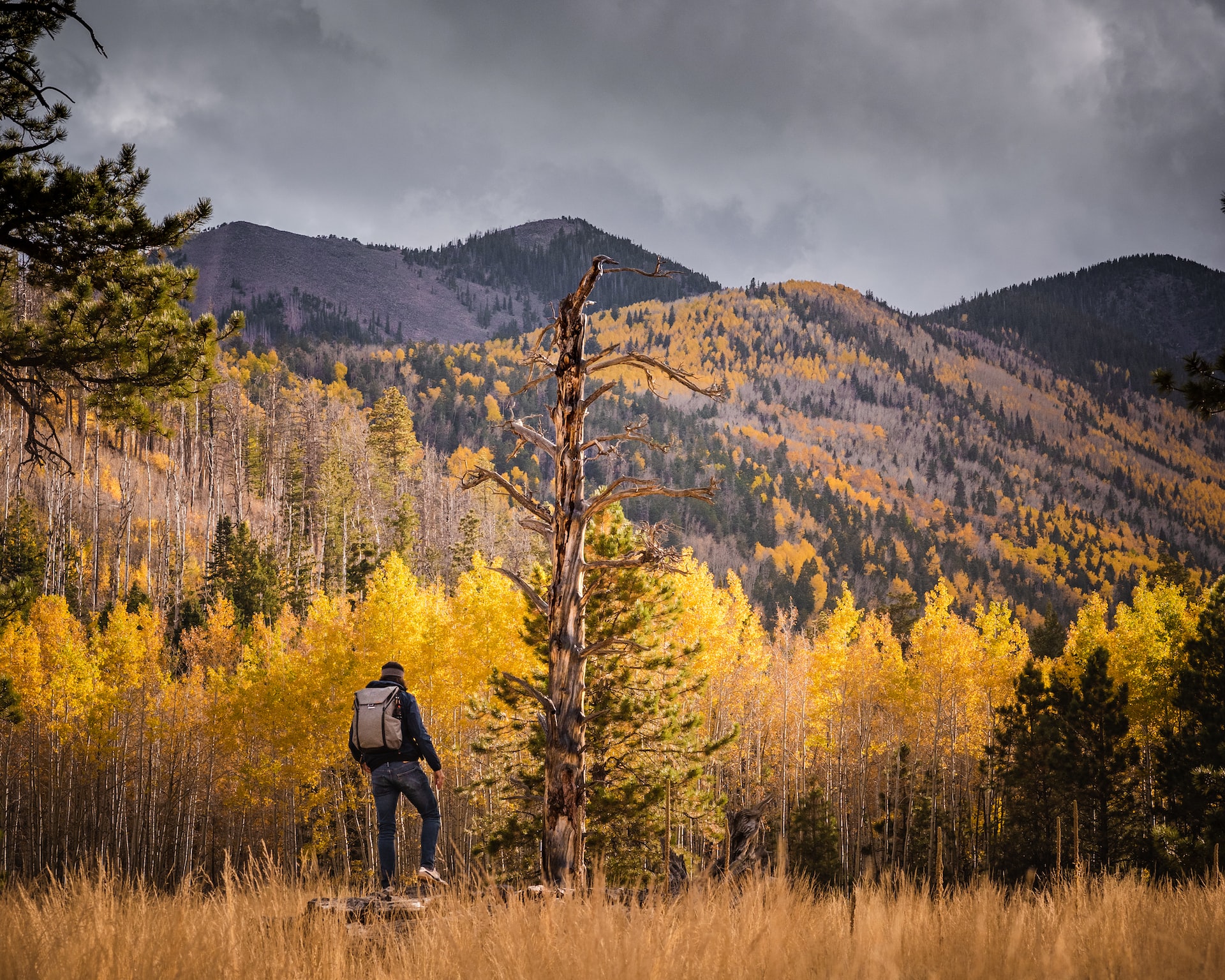A man stands with his back turned to the camera in hiking gear and a hiking backpack facing bursting colors of fall foliage.