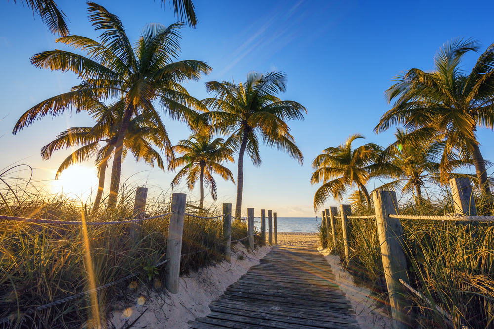 Famous passage to the beach lined with palm trees in Key West.