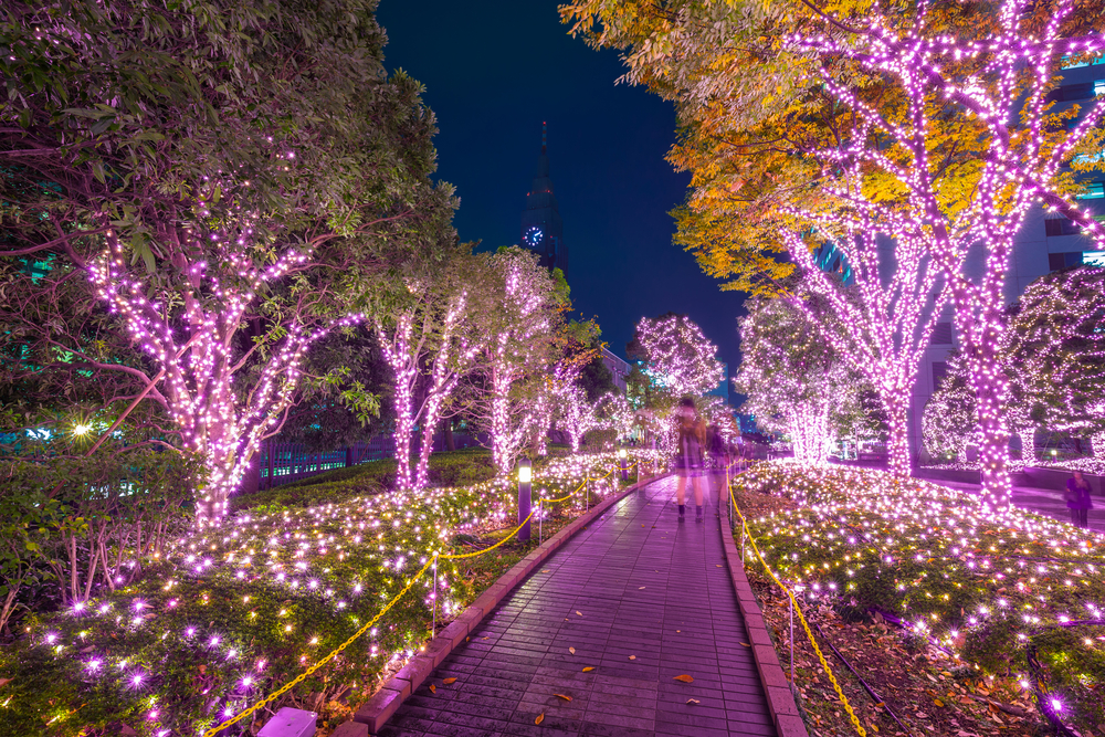 Pink lights at nighttime looped around trees in Tokyo, Japan.