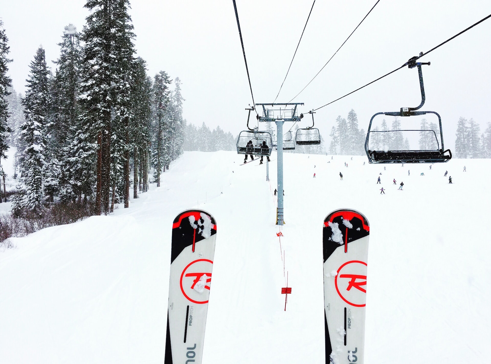 A pair of skis on a ski lift going up the mountain.