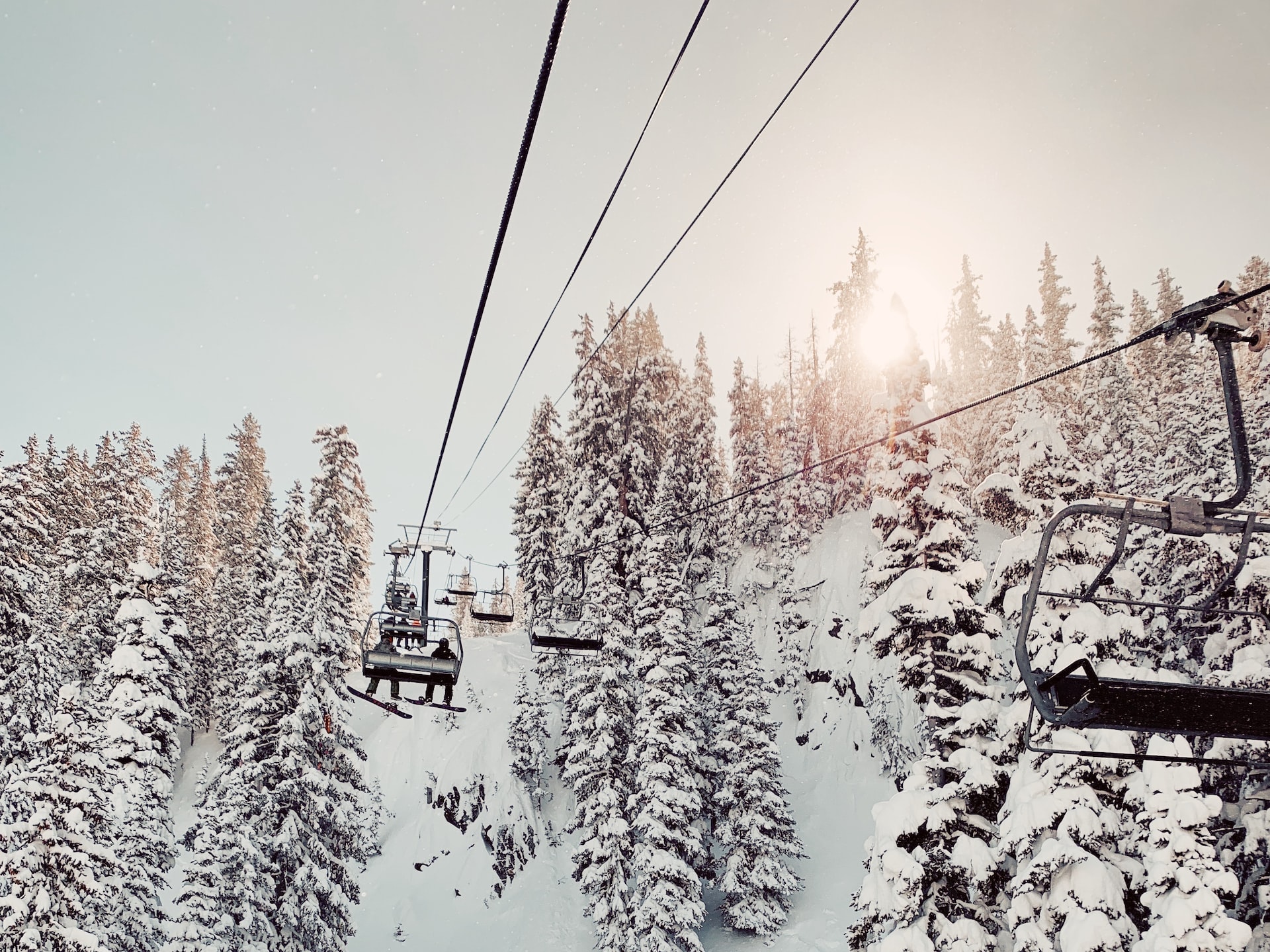 A ski lift climbs over snowy trees on a mountain.