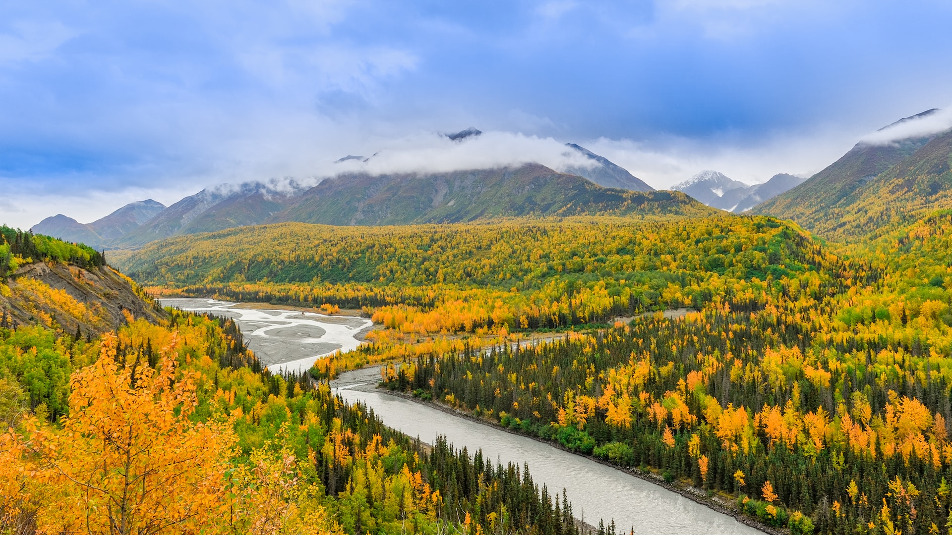 Anchorage, Alaska's wilderness during fall with yellow leaves on the trees.