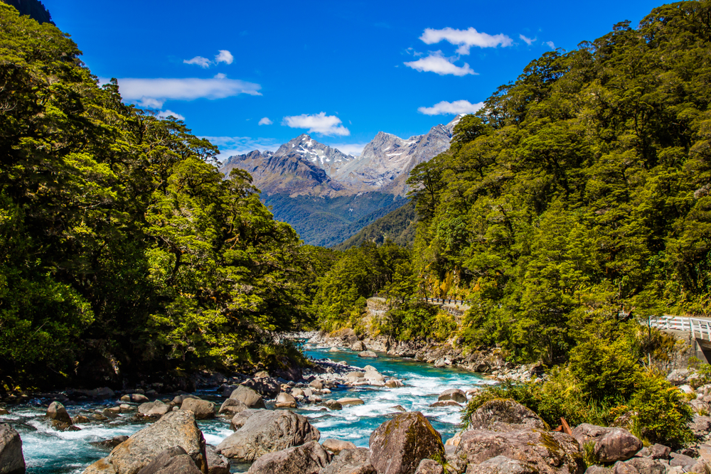 Scenery in New Zealand.