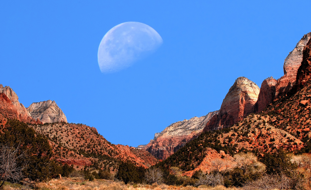 moon-over-zion-national-park