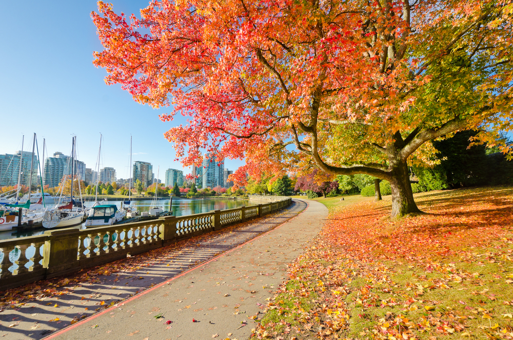 vancouver-canada-in-autumn