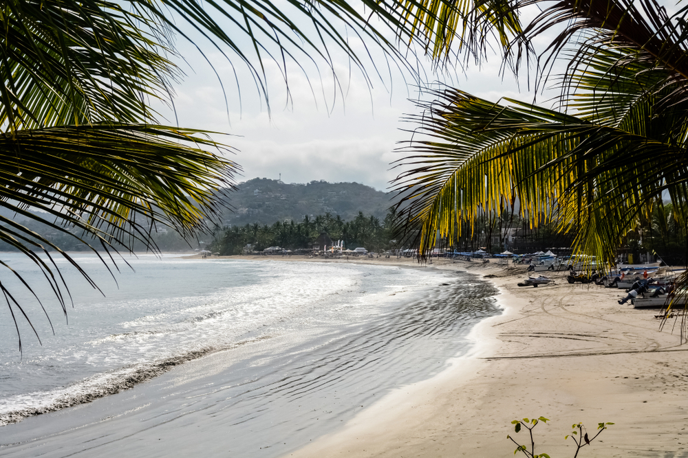 A palm-lined beach in Sayulita, Mexico.