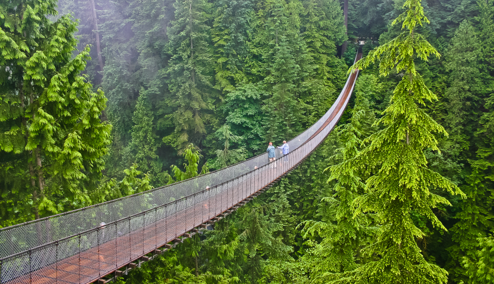 Areial view of Capilano Suspension Bridge in Vancouver.