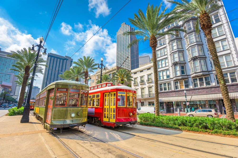 Two trolley cars in New Orleans beside some palm trees on a sunny day.
