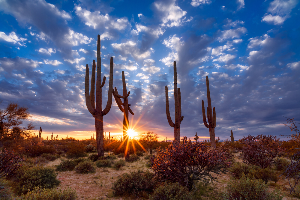 tucson-arizona-at-sunset