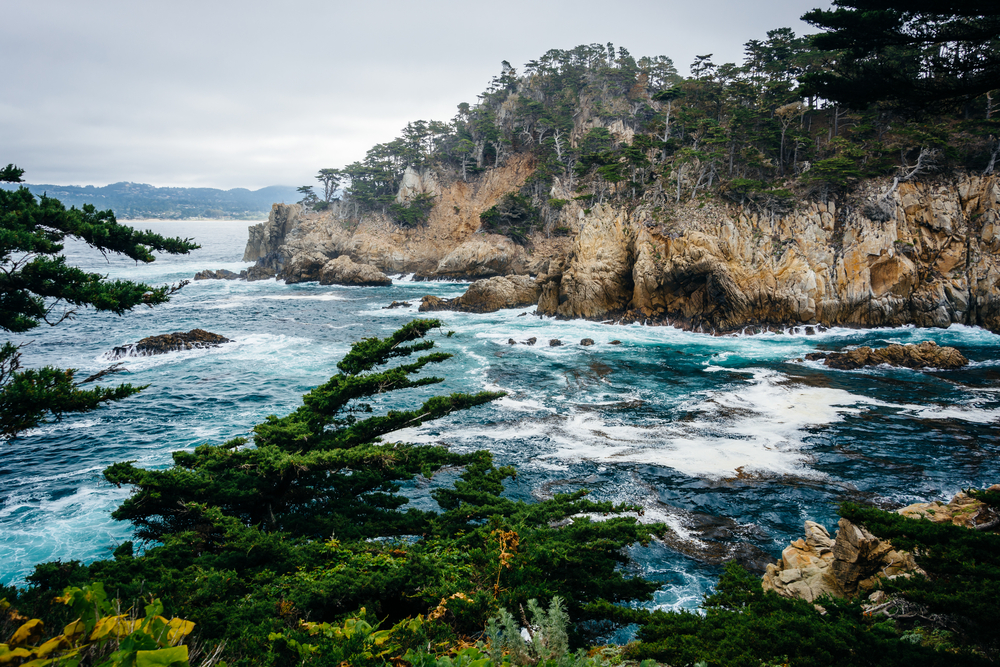 point-lobos-in-carmel