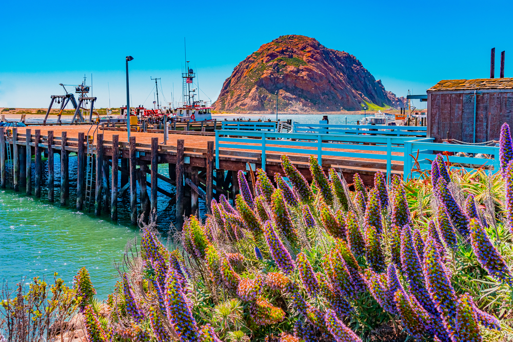 morro-rock-along-morro-bay