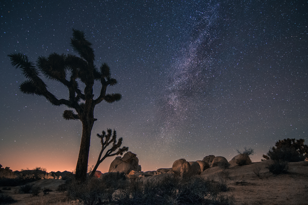 Milky Way illuminated in the desert landscape of Joshua Tree National Park.