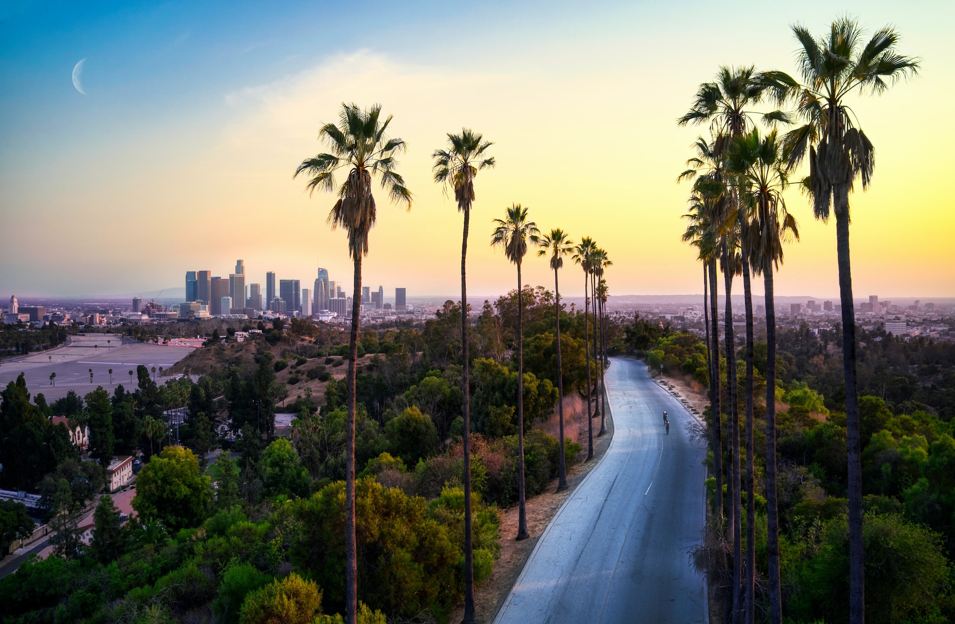 Road with palm trees with Los Angeles in the background.