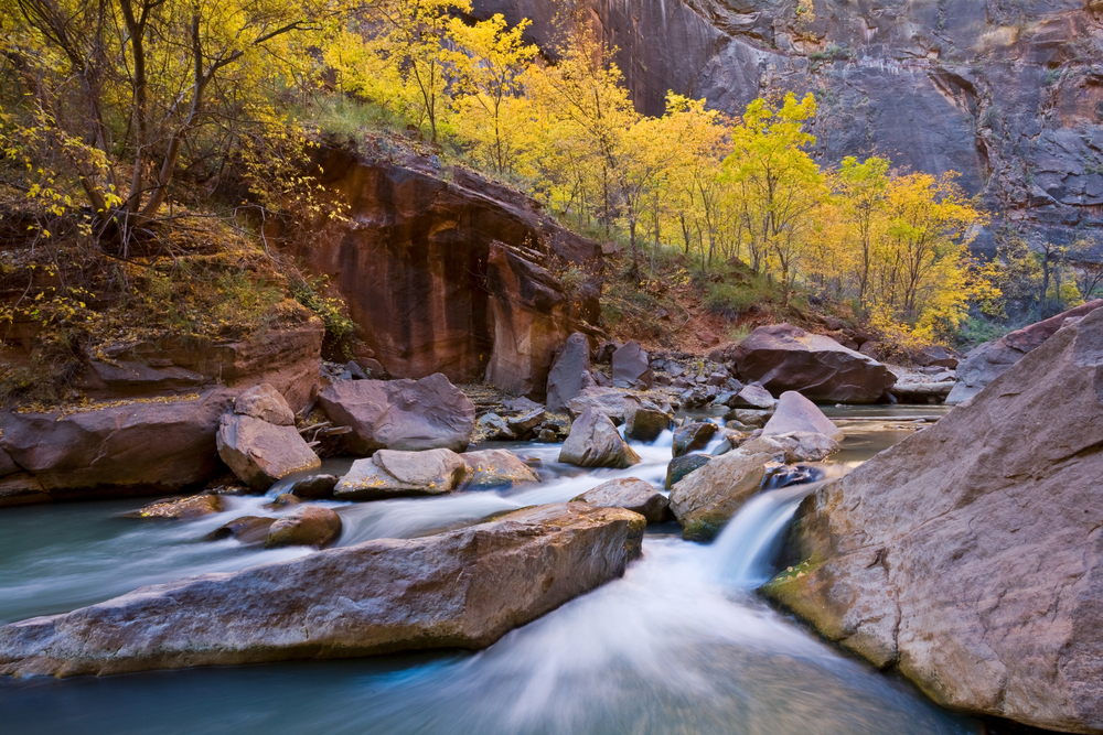 The Virgin River in autumn in Zion National Park, Utah.