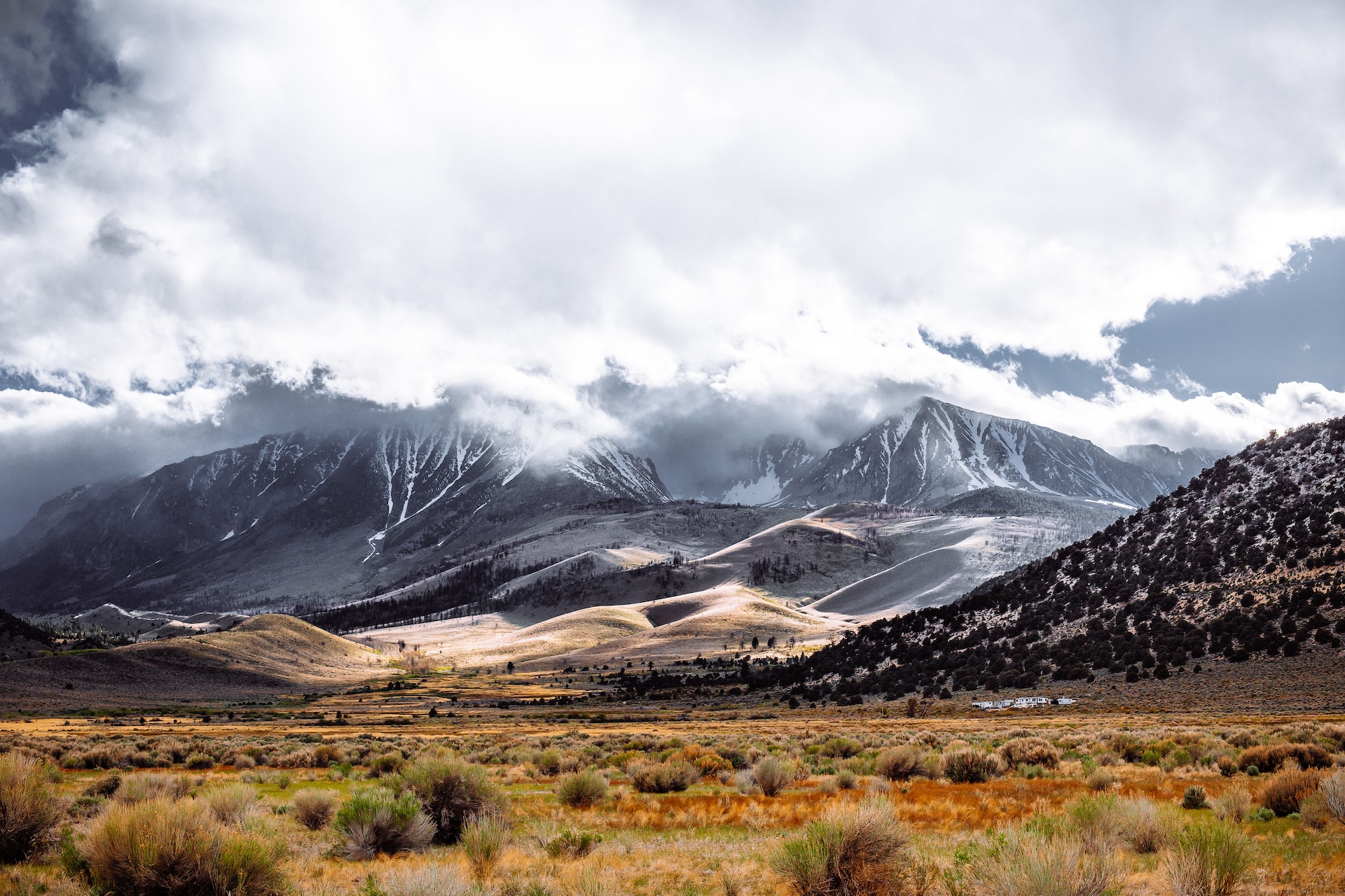 Sierra Nevada meadows with snow-covered mountains in distance.