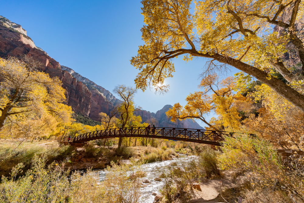Colorful trees and plants along a river with a bridge in Zion National Park, Utah.
