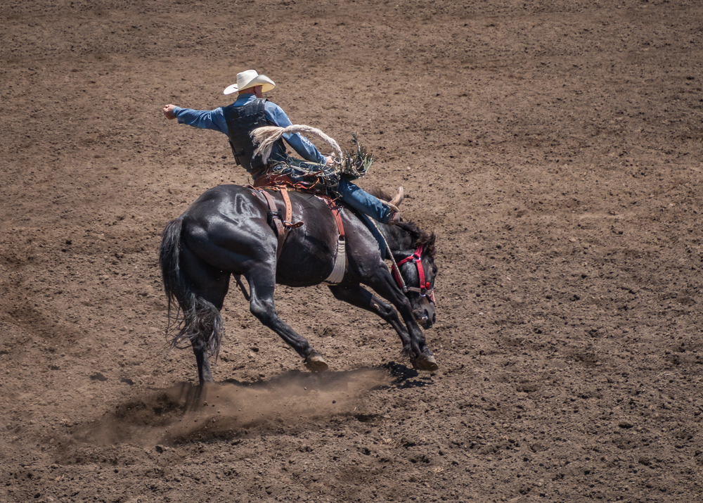 Cowboy riding a bucking bronco around a patch of dirt.