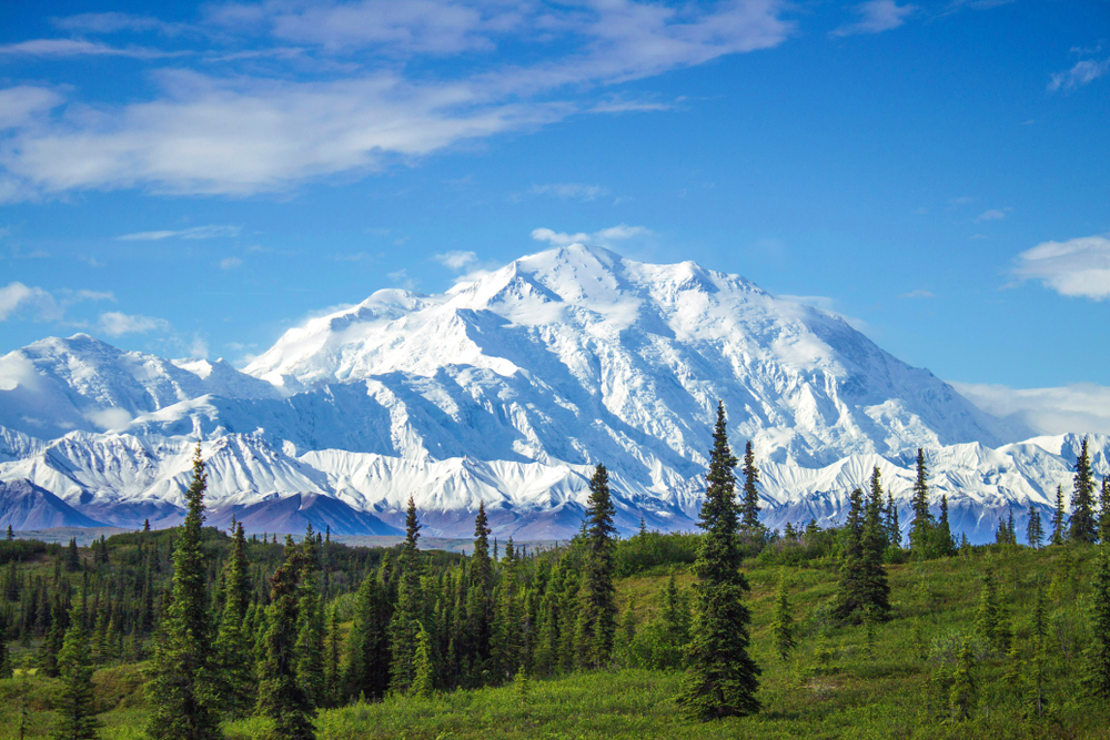 Early morning view of Mount Denali, the tallest peak in continental North America. One of those rare moments when the peak is not covered in clouds.