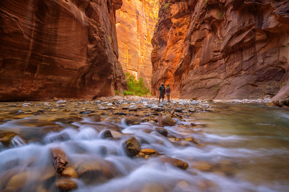 Amazing landscape of The Narrows, a canyon with a river running through it, in Zion National Park.