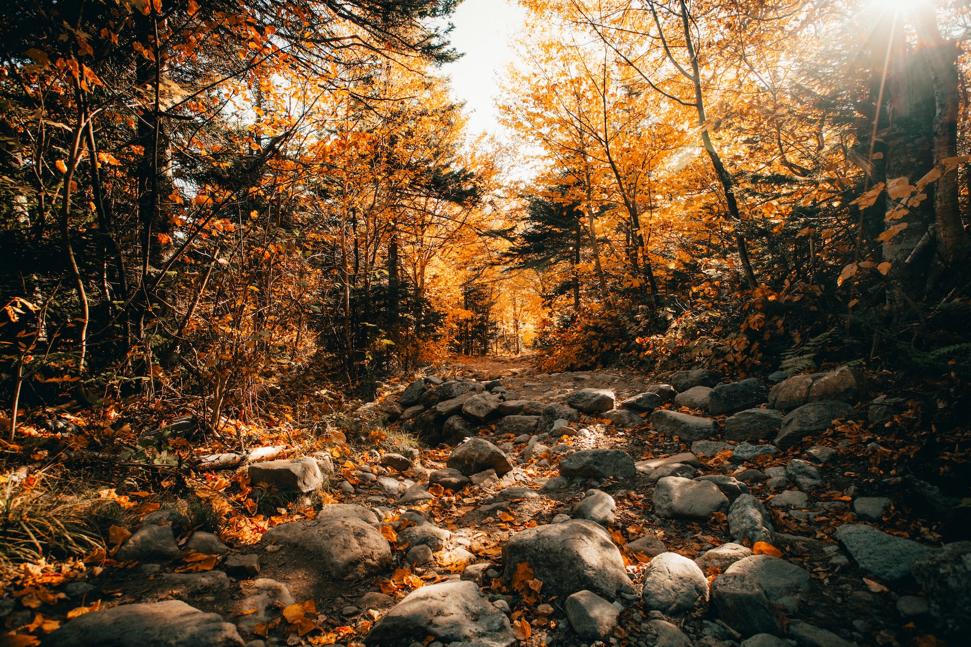 A classic foliage scene in the Northeast.