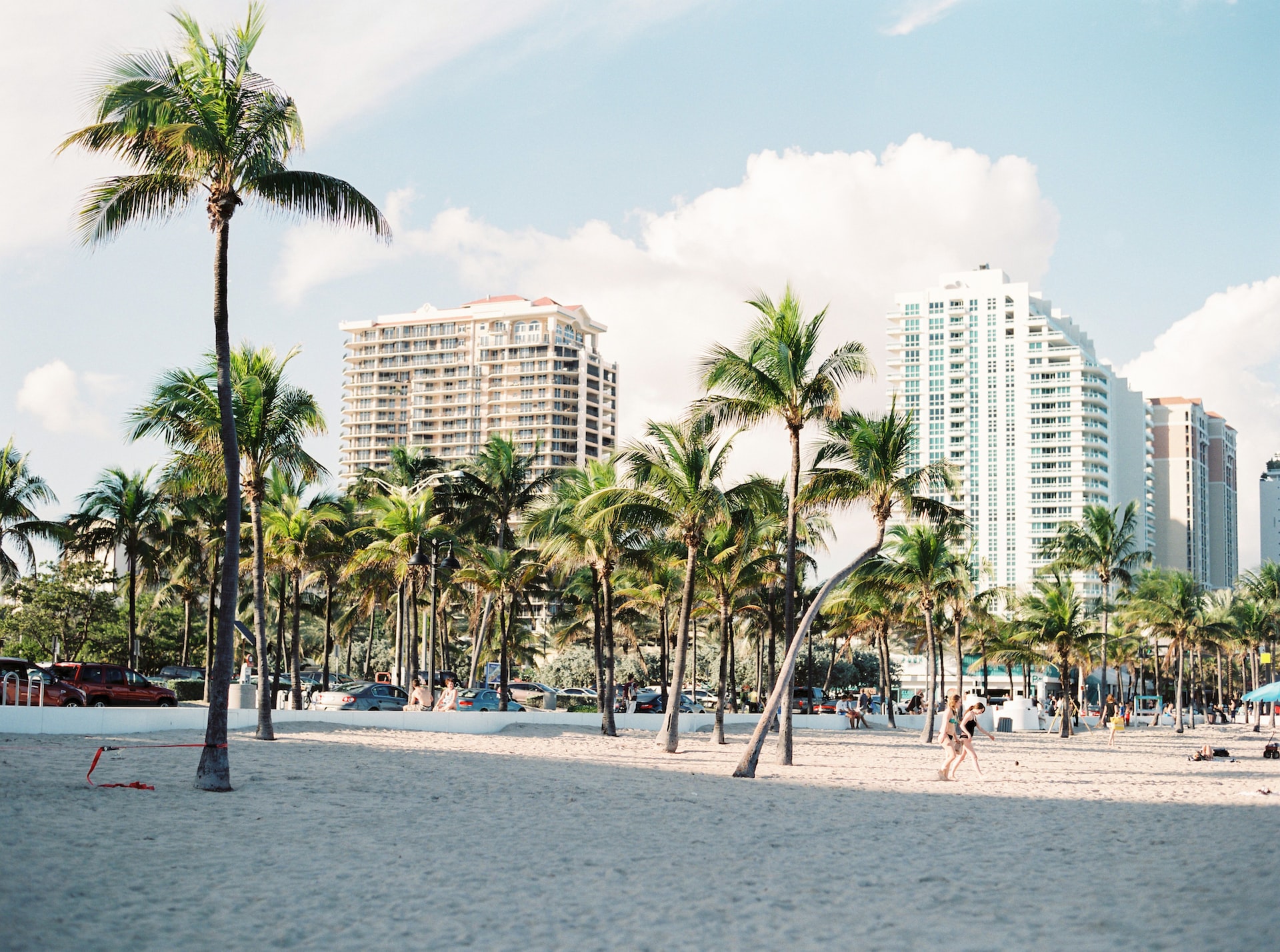 Palm trees on a beach in Miami.