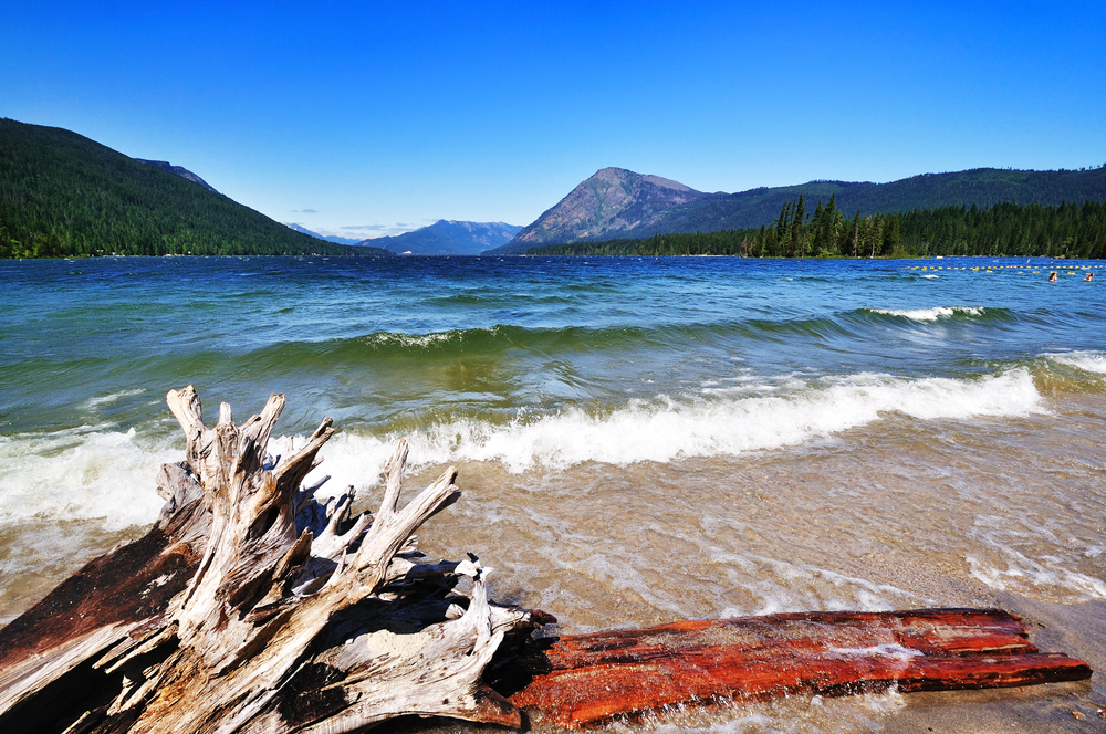 A beautiful view of Lake Wenatchee, driftwood in the foreground, on a bluebird day in Washington.