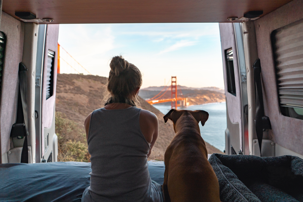 Young woman and dog backs turned watching amazing view of San Francisco's Golden Gate Bridge from the back of van.