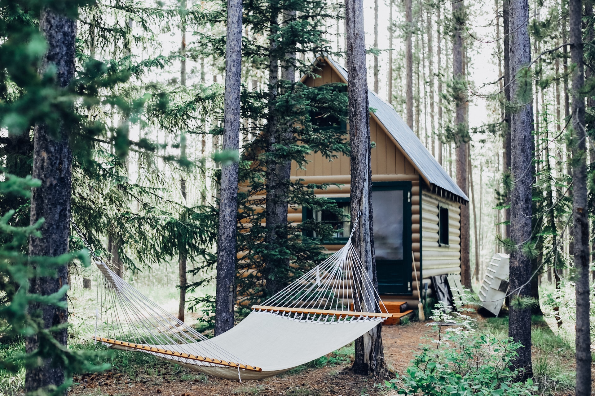A log cabin with a hammock in the middle of the woods.