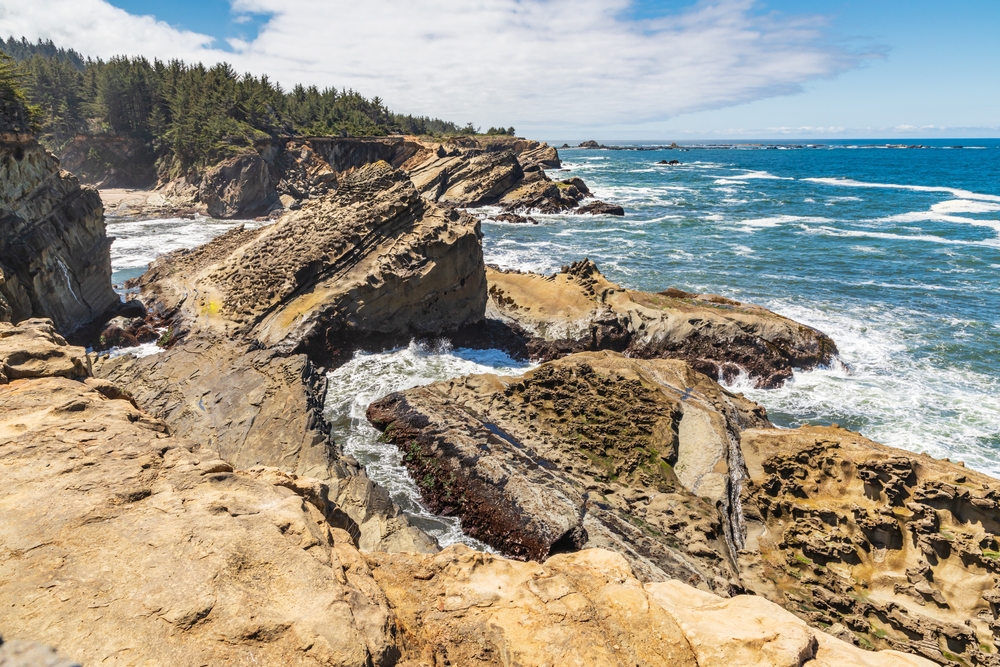 Surf and cliffs on the Oregon coast at Shore Acres State Park.