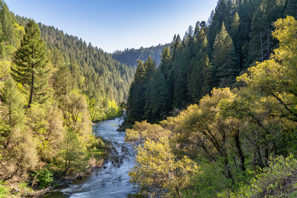 North Fork of the Yuba River in the spring in the Tahoe National Forest in the Sierra Nevada Mountains in Nevada County, California.