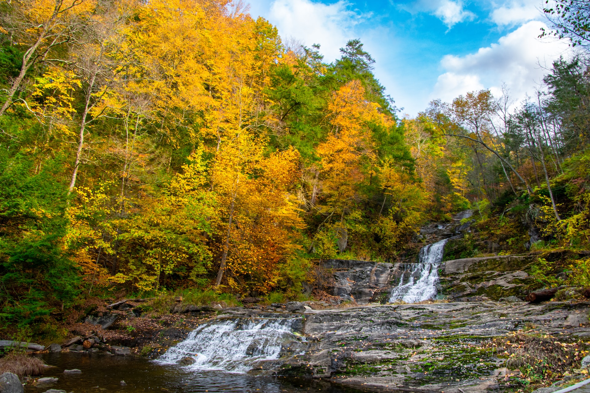 Waterfall running in the middle of yellow and green leave trees.