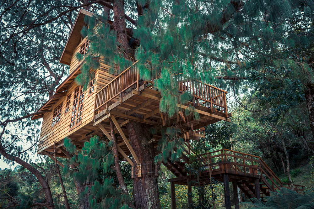 An elaborate treehouse that you could spend the night in.