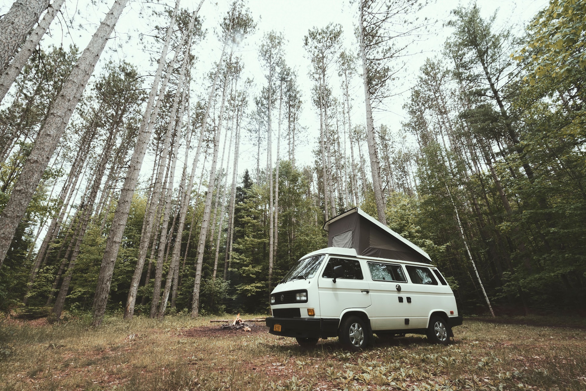 A camper van surrounded by tall pine trees in the Adirondack Mountains.