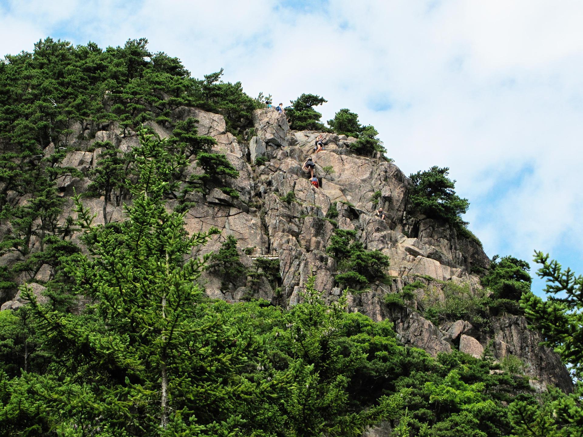 People climbing a steep rock face surrounded by green trees on a hike in Acadia National Park.