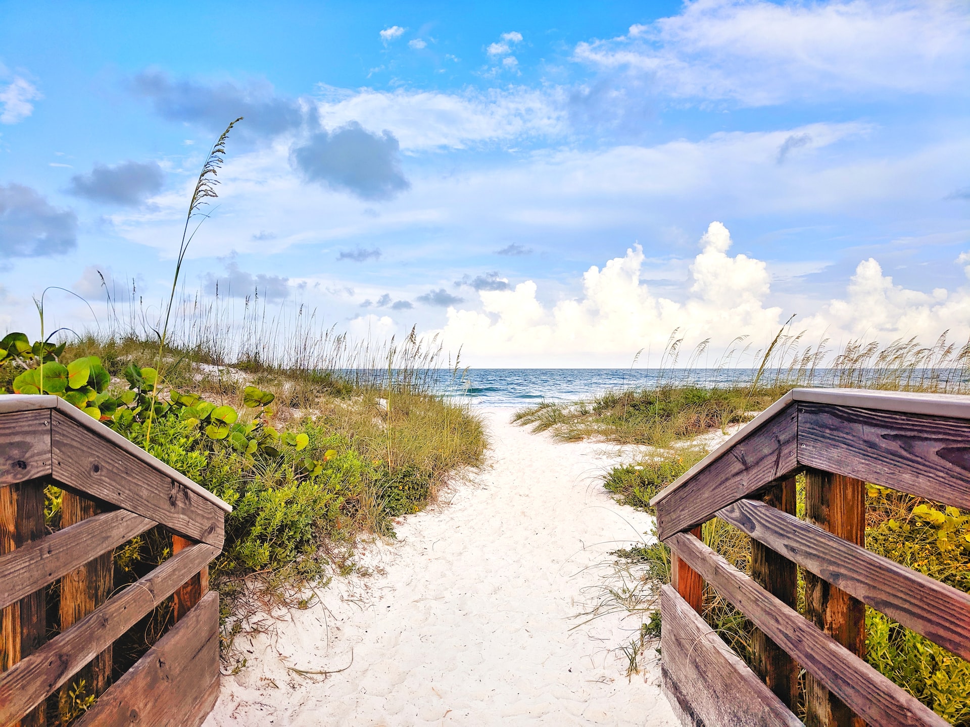 A pathway leading out onto the beach on a beautiful day.