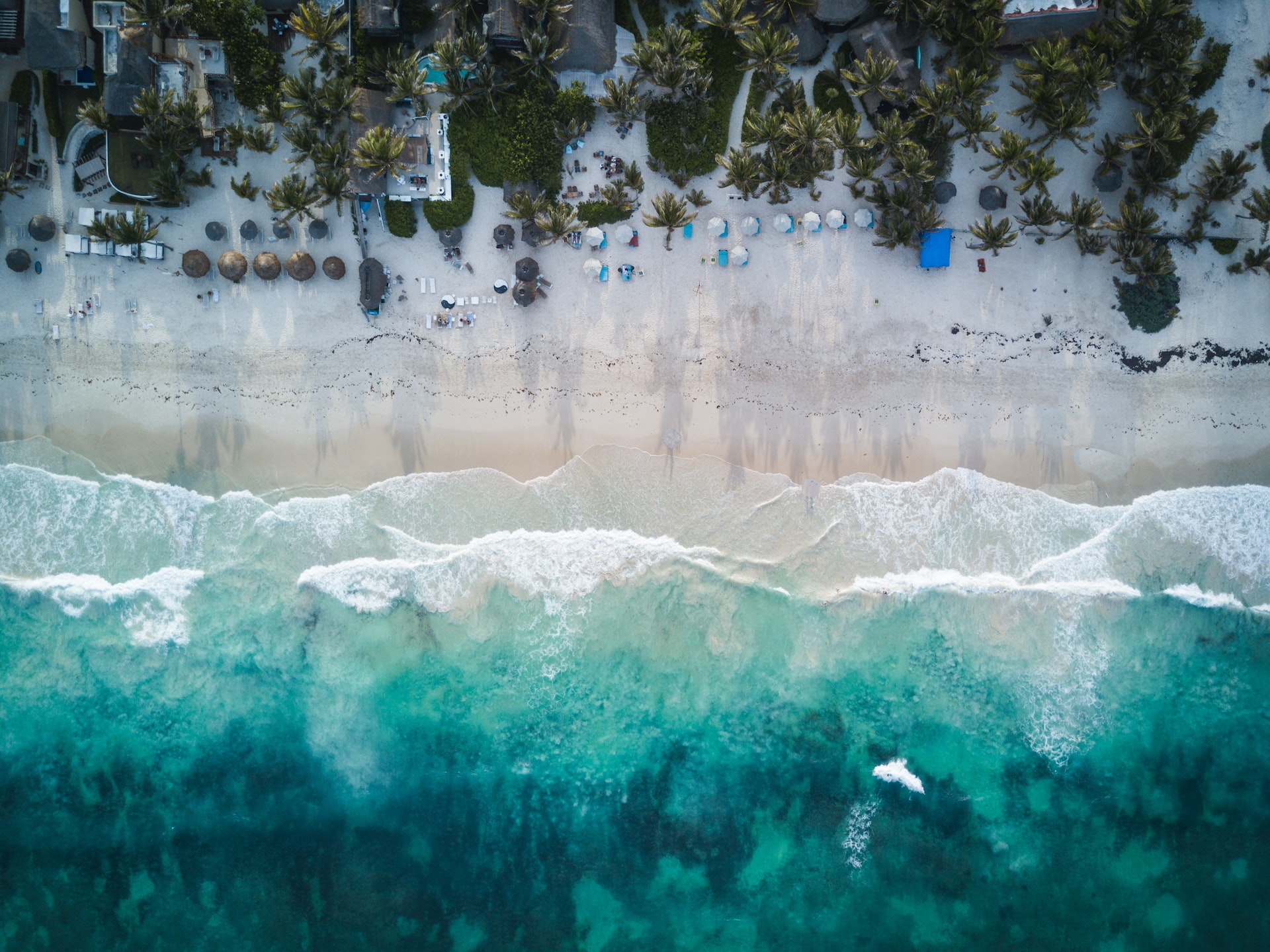 Overhead shot of a beach environment with umbrellas, chaise lounge chairs, and palm trees.