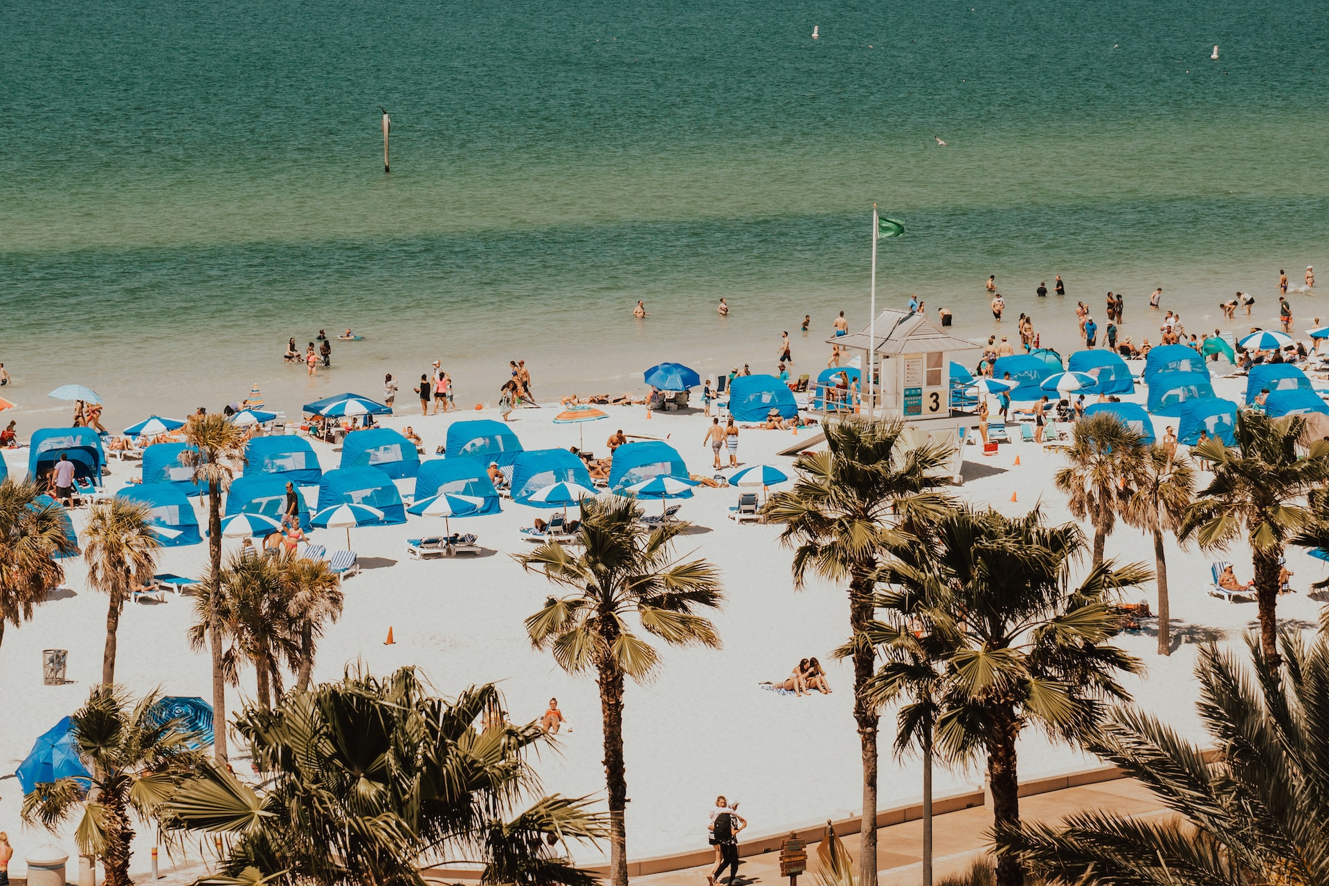 Blue and white tents and umbrellas along the beach with palm trees in the foreground.