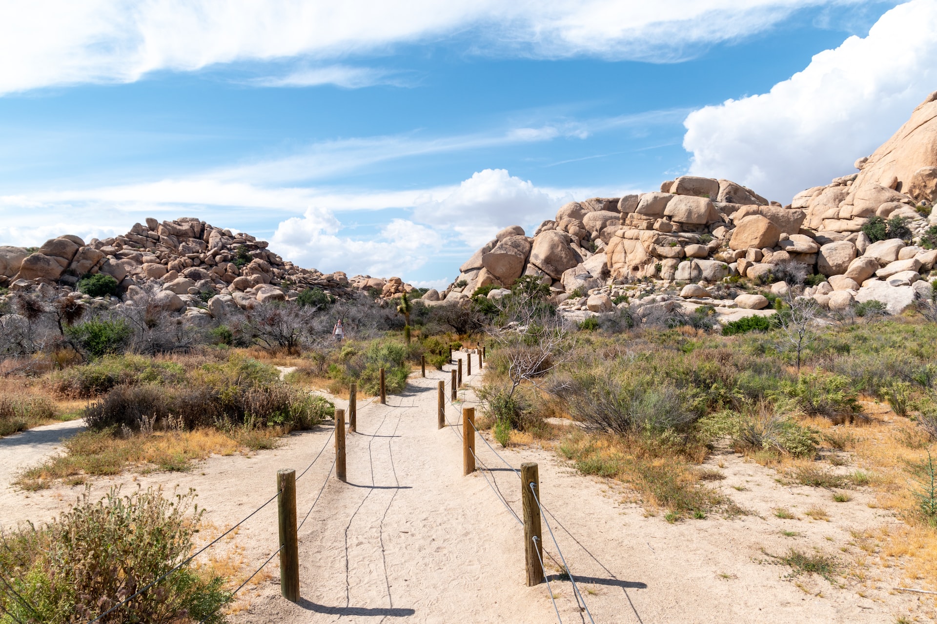 Start of the Baker Dam trail at Joshua Tree National Park.