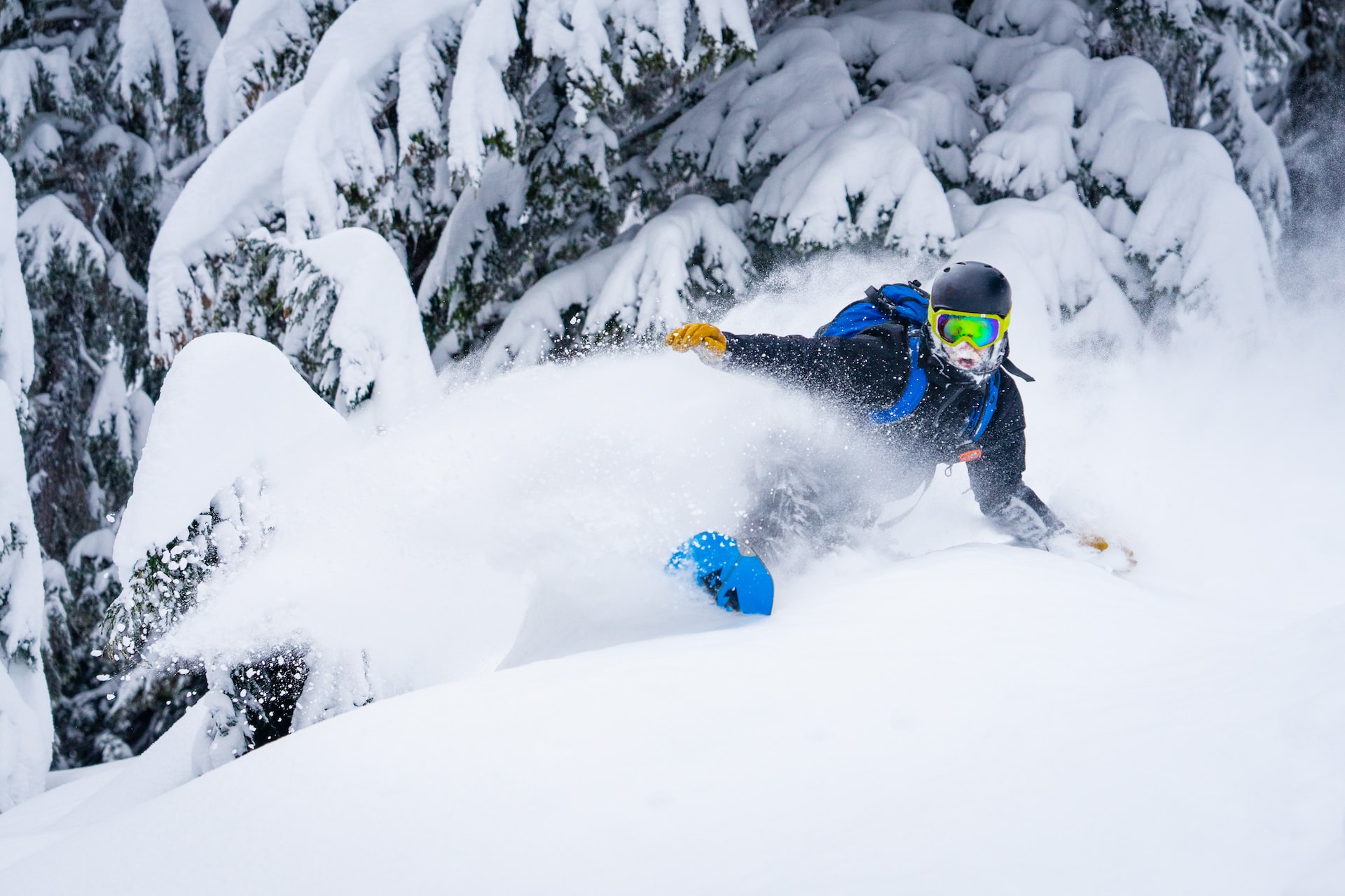 A snowboarder enjoying a powder day at Todd Lake in Bend, Oregon.