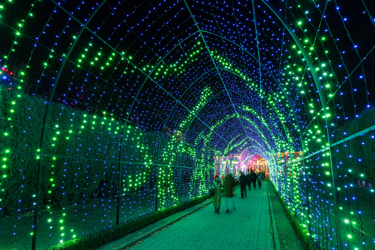 People walking through a tunnel of light.