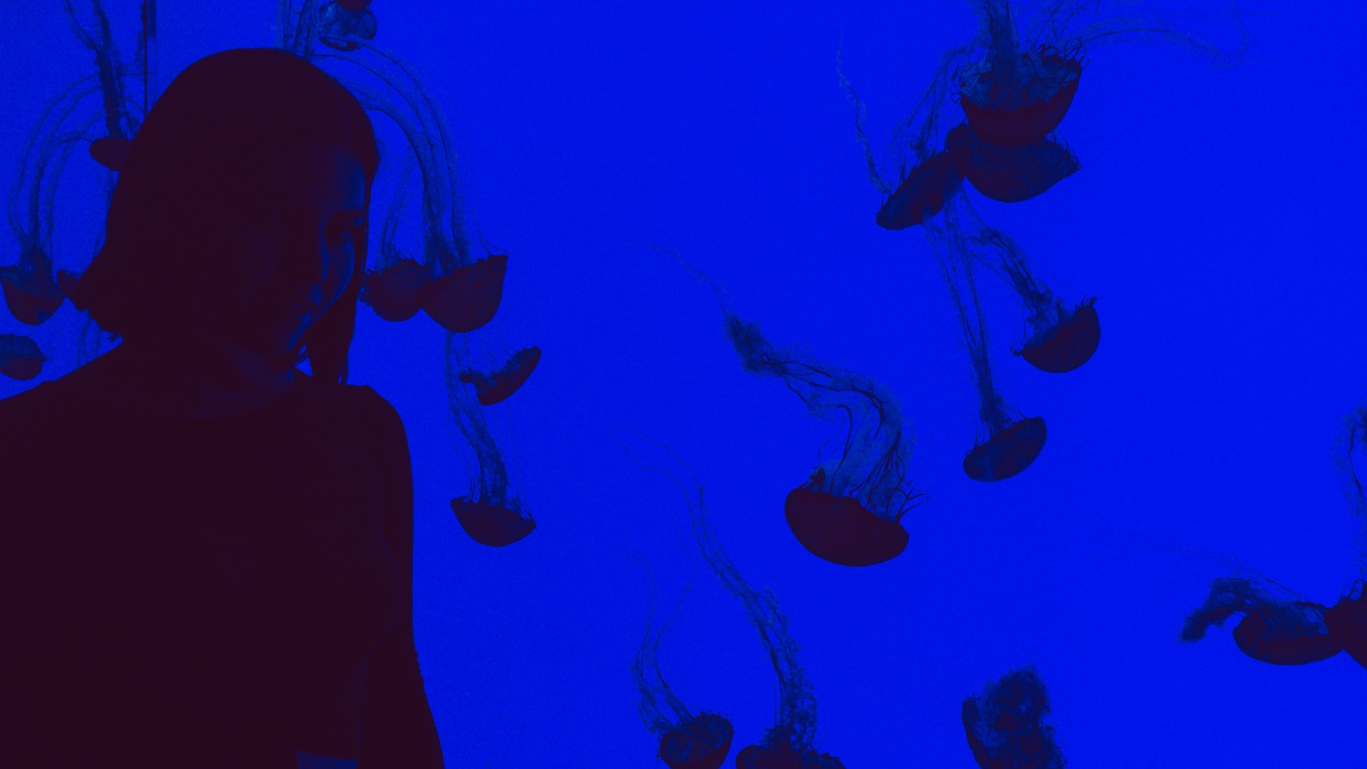 A woman standing beside some silhouetted jellyfish in an aquarium.