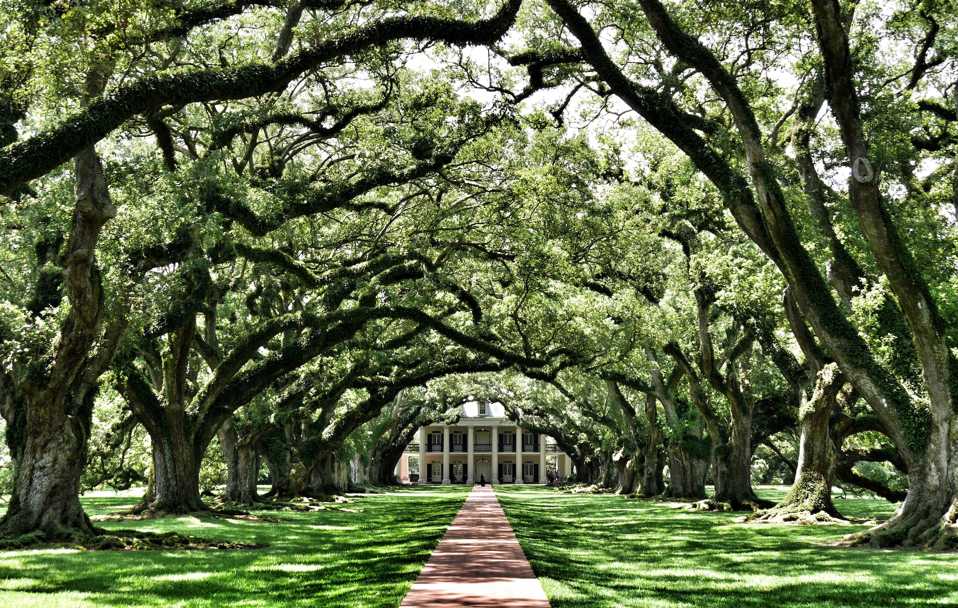 Oak Alley Plantation in New Orleans.