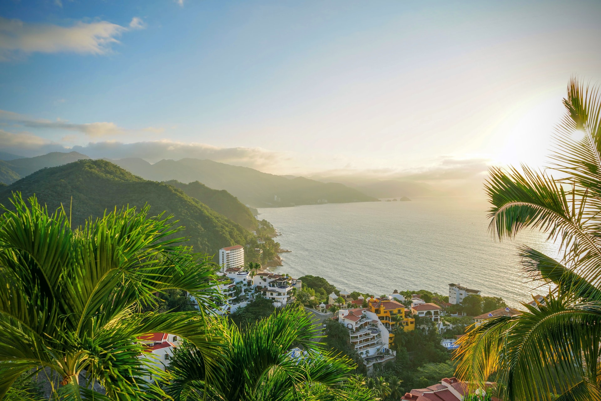 A jungle ontop a mountain in Puerto Vallarta.