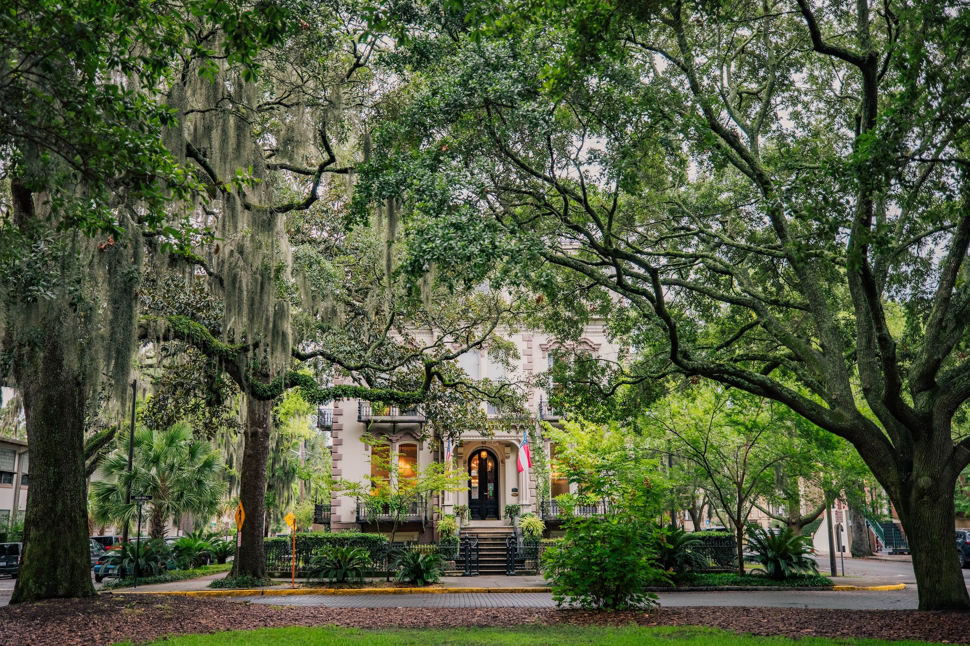 Beautiful old southern home obscured by Spanish moss and big, beautiful trees.