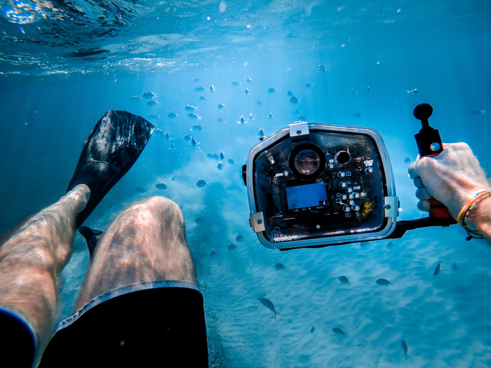 Snorkeling with underwater camera.