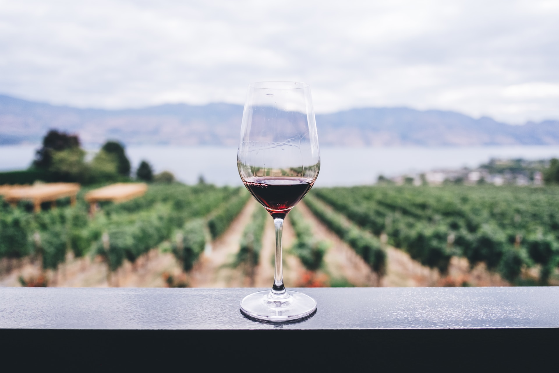 A wine glass on a ledge overlooking vineyards.