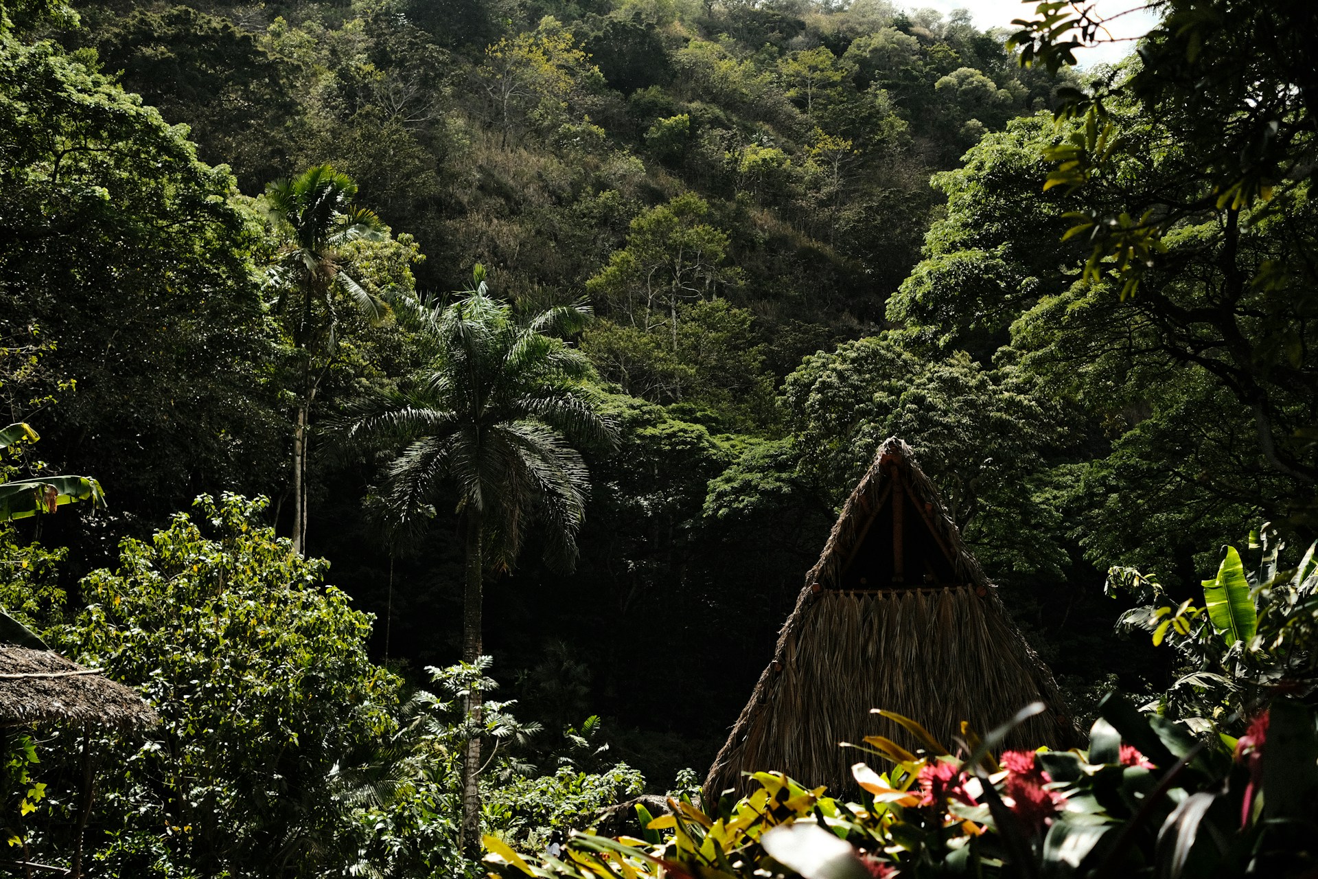 A small building in the Waimea Valley