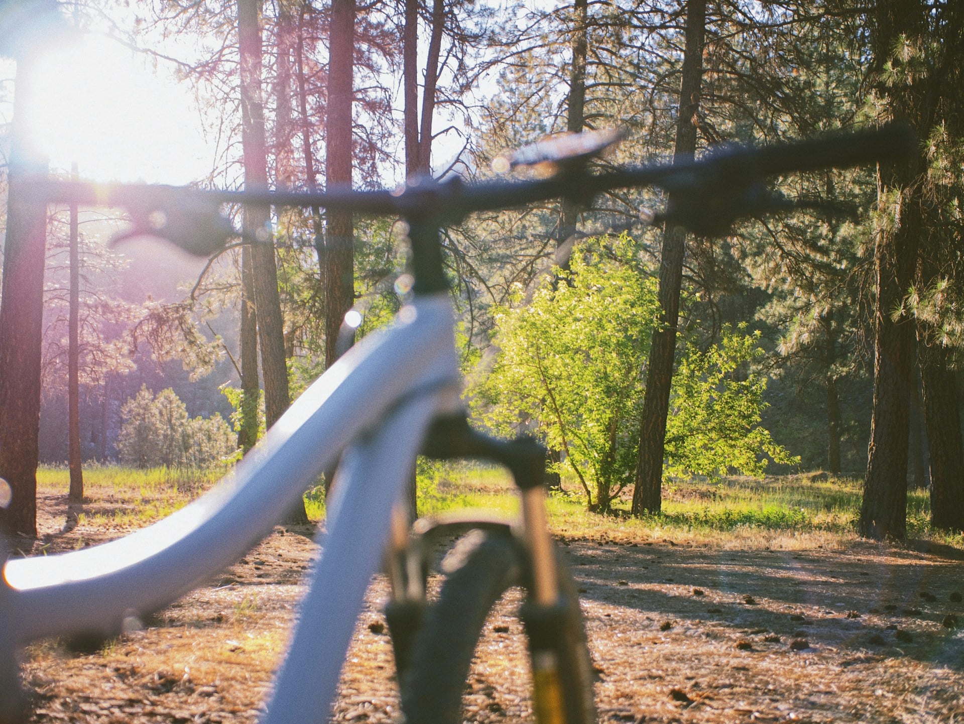 Cycling on a Bike Trail
