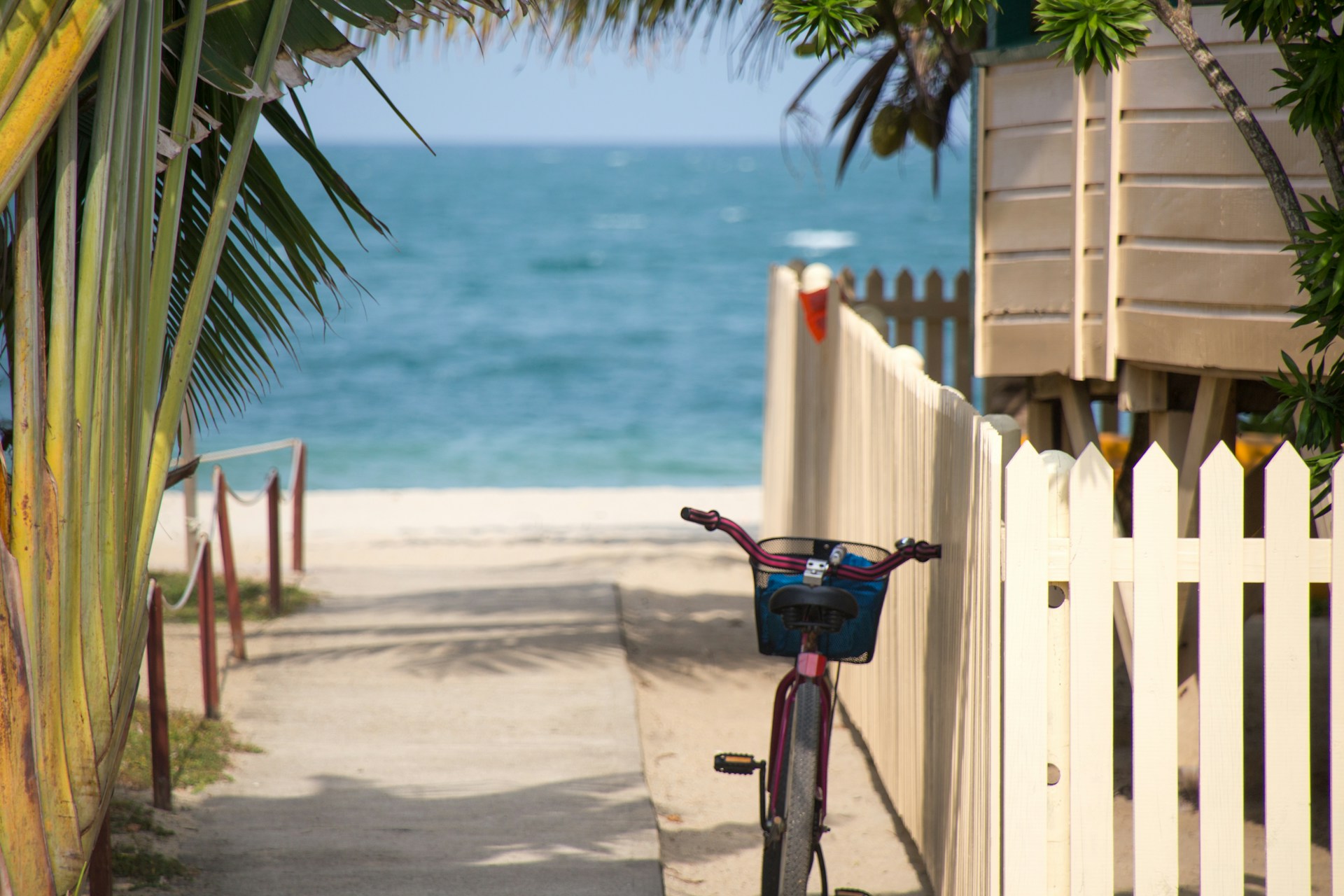 View from under the shade of palm trees in South Beach, Miami, Florida., image size:1920x1280